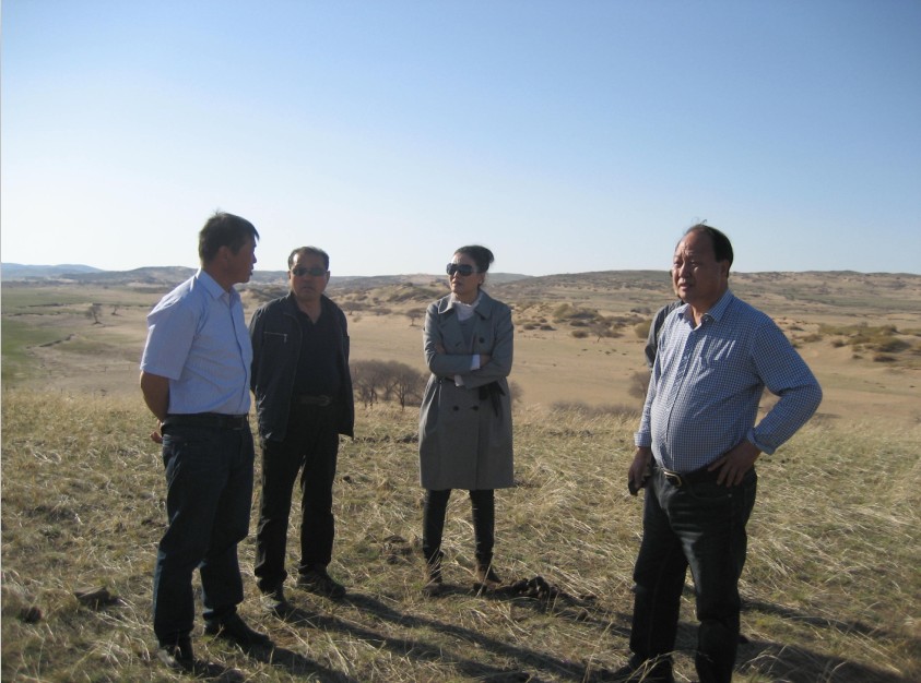 發(fā)揮資源優(yōu)勢，提高產(chǎn)業(yè)鏈競爭力——協(xié)會為企業(yè)間的合作搭建平臺