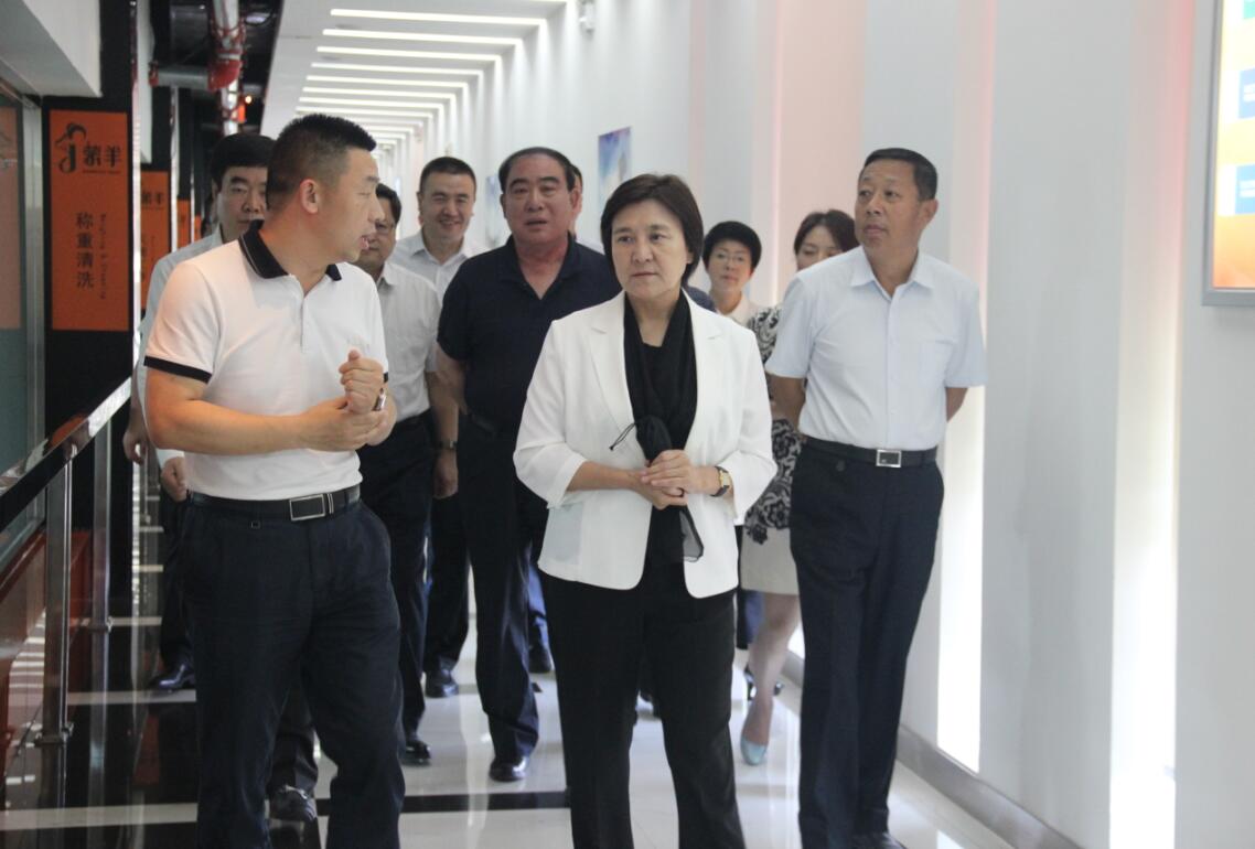 自治區(qū)黨委副書記、自治區(qū)主席布小林蒞臨協(xié)會會長單位——蒙羊牧業(yè)公司視察調(diào)研