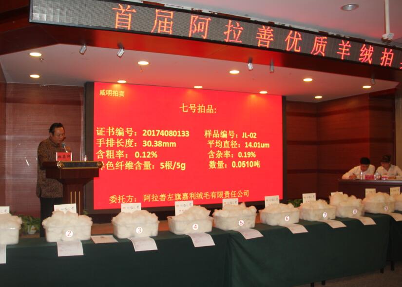 創(chuàng)新引領(lǐng)未來(lái)，品質(zhì)鑄就輝煌 首屆阿拉善優(yōu)質(zhì)羊絨拍賣(mài)會(huì)盛大舉行