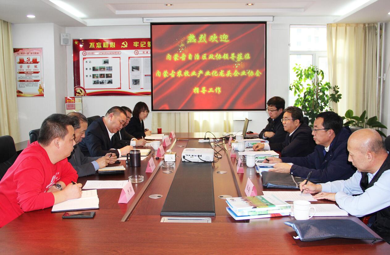 自治區(qū)政協(xié)副主席魏國楠蒞臨協(xié)會指導工作